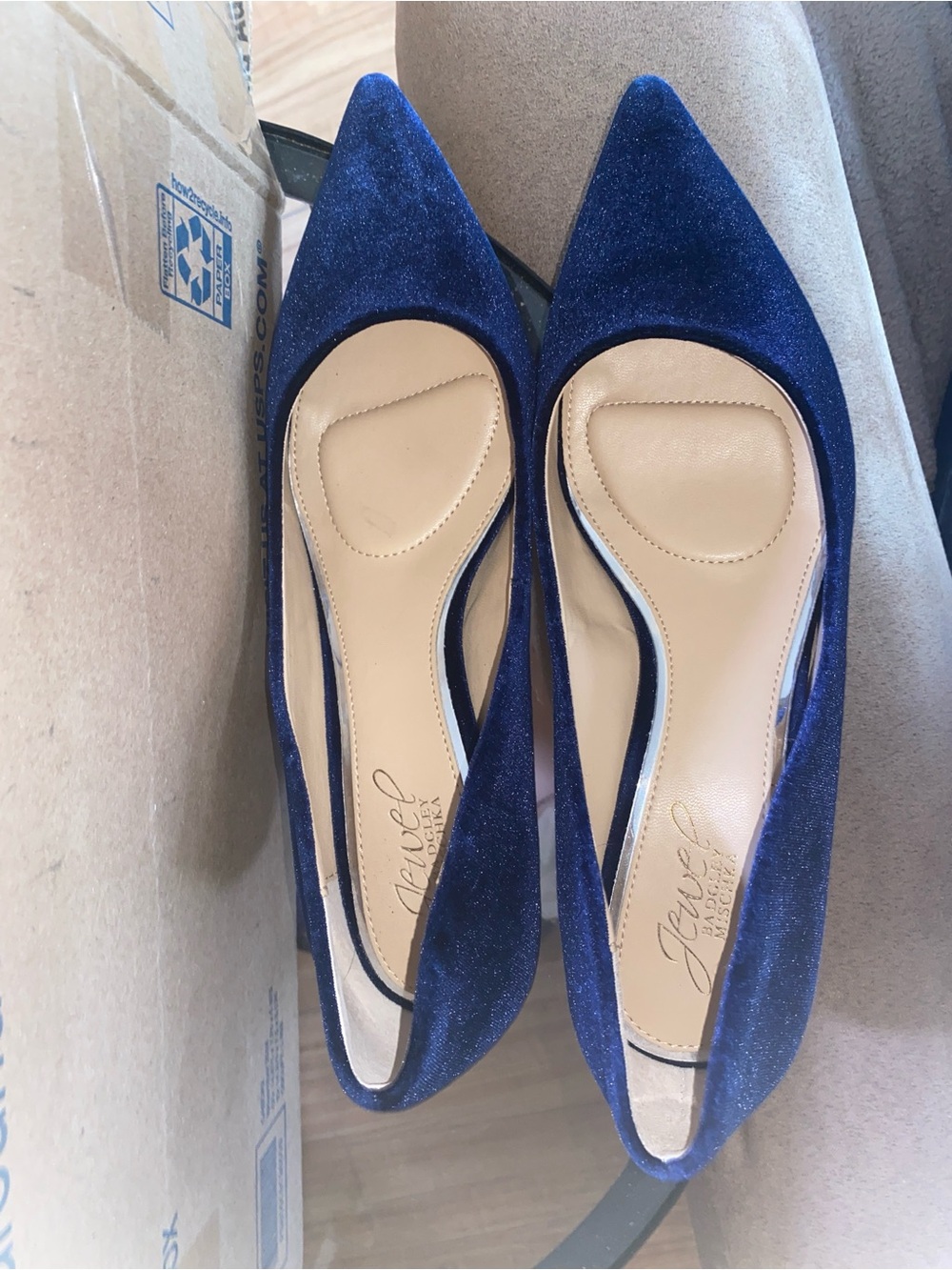 Jewel Badgley Mischka Enola kitten heel 7.5 velvet blue